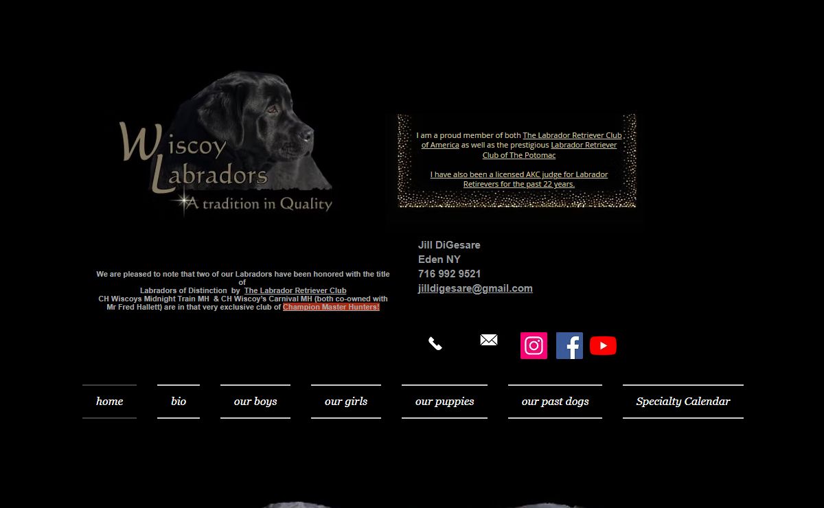 Wiscoy Labradors,Breeding Quality Labradors in NY State
