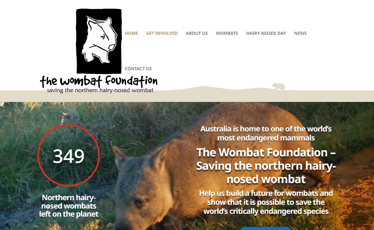 The Wombat Foundation | Saving the northern hairy-nosed wombat