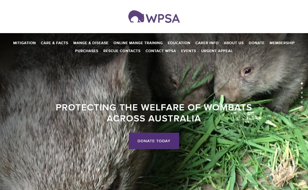 WPSA