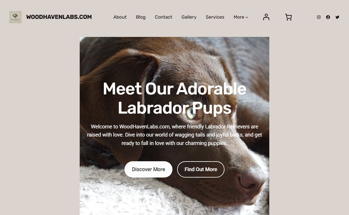 Home - WoodHavenLabs.com