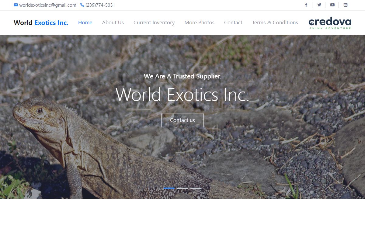 Exotic Animals - World Exotics, Inc.