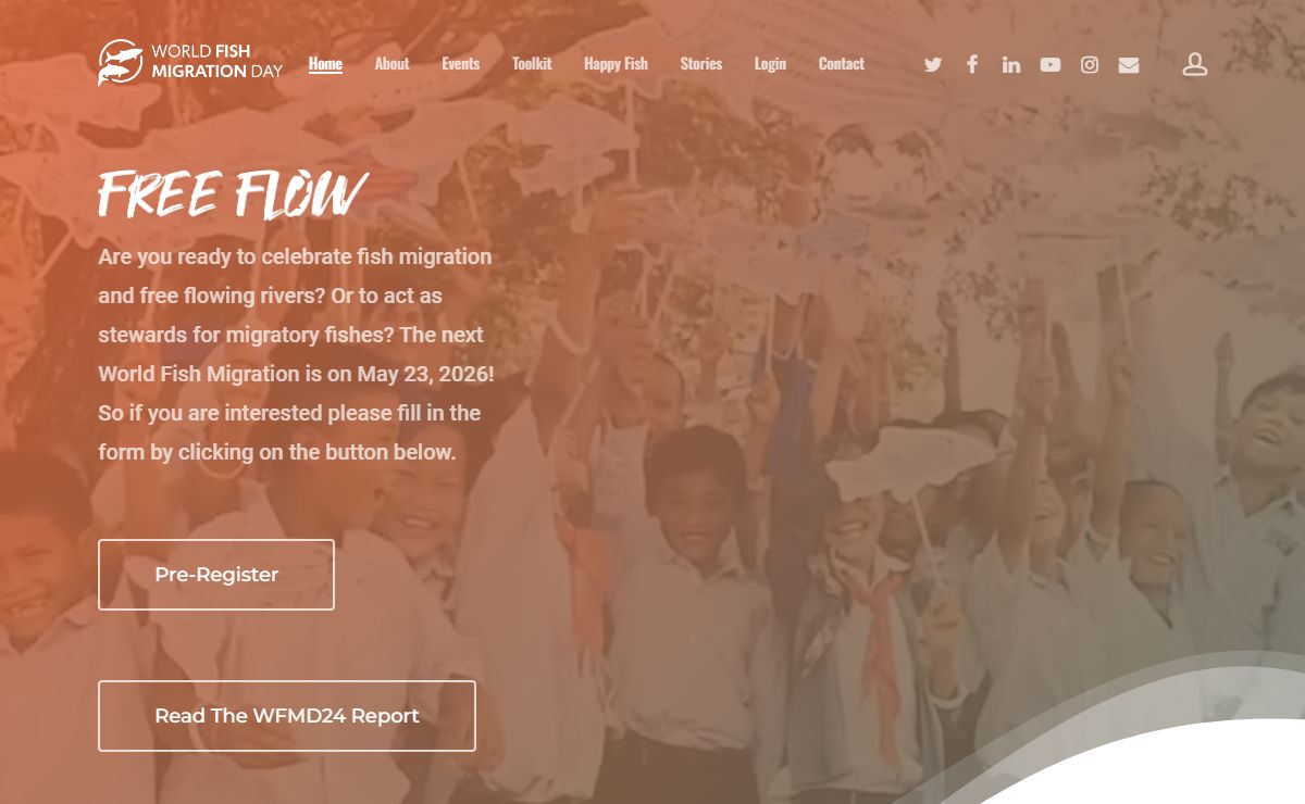 World Fish Migration Day – Connecting fish, rivers and people