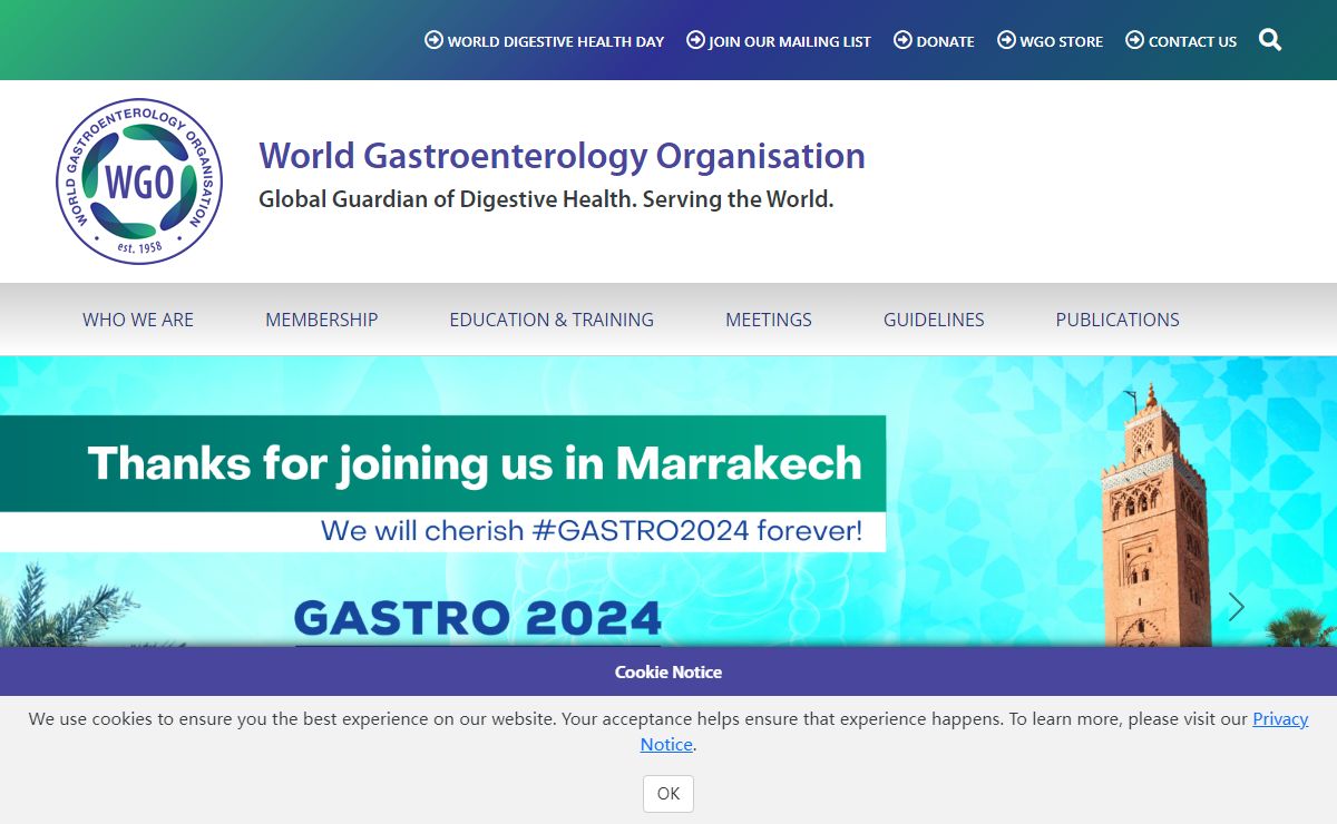 World Gastroenterology Organisation