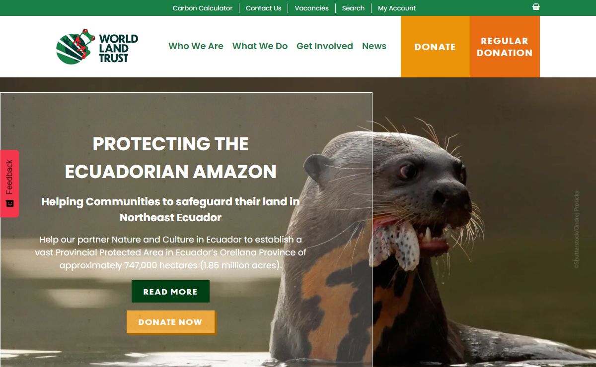 Rainforest and Wildlife conservation in action with World Land Trust