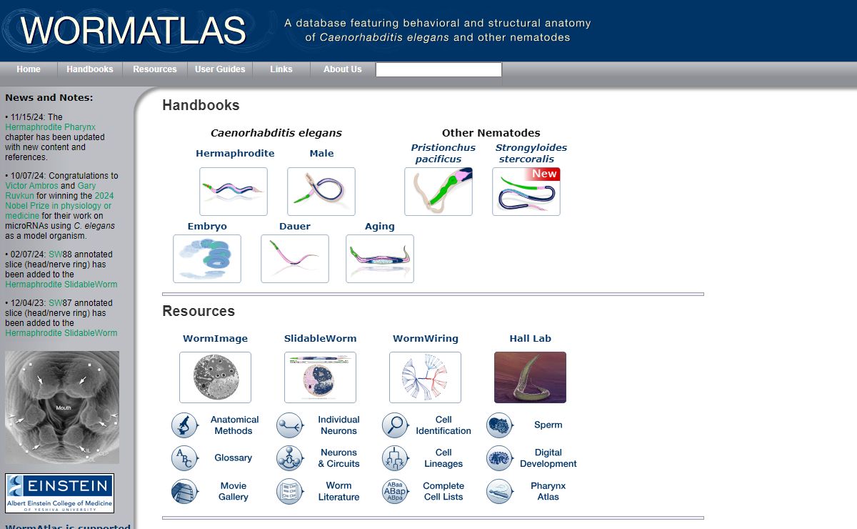 Wormatlas Homepage