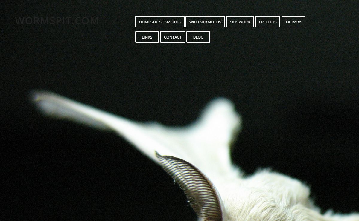 WormSpit – A site about silkworms, silkmoths, and silk