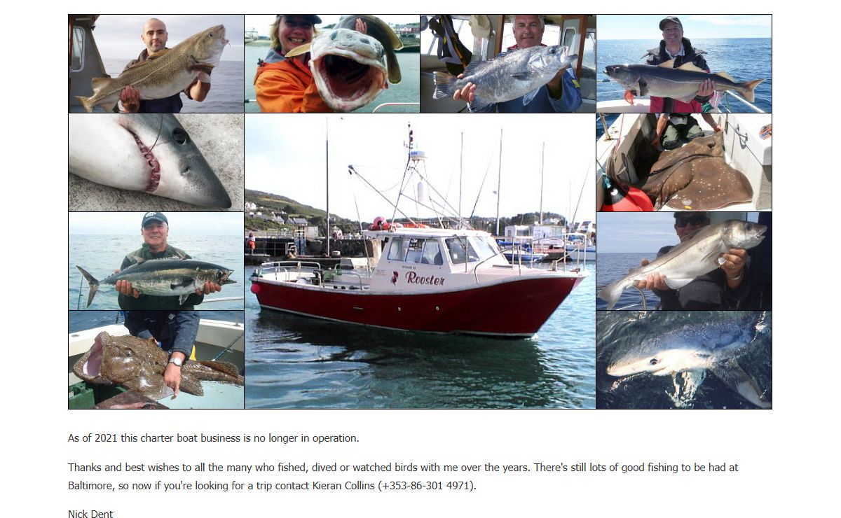 Sea angling in Ireland