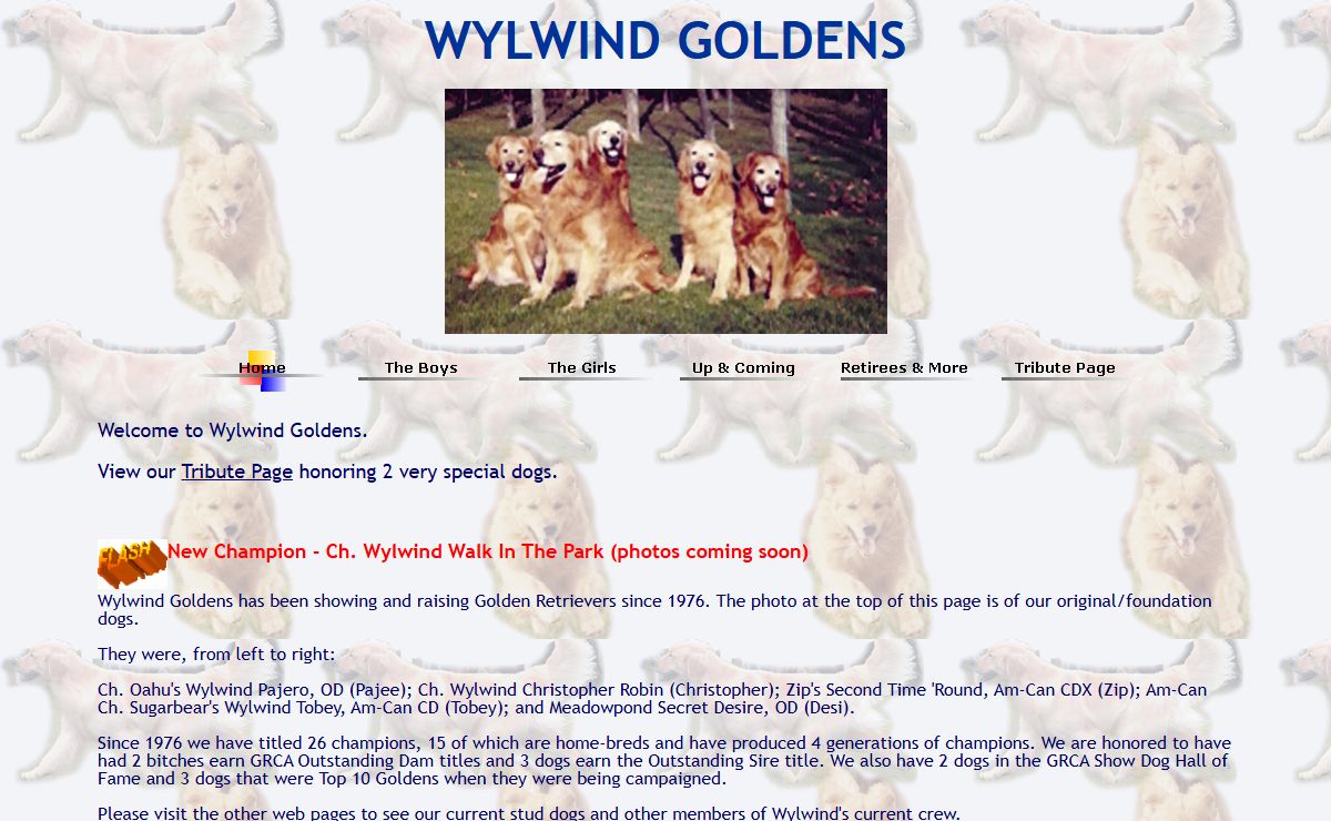 Wylwind Home Page