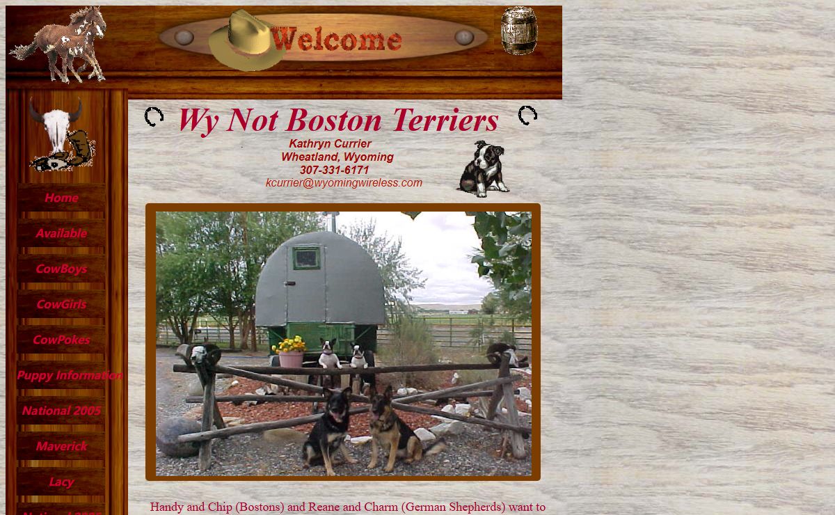 Boston Terriers Wyoming Boston Terrier Wyoming Boston Terrier Breeder Wyoming