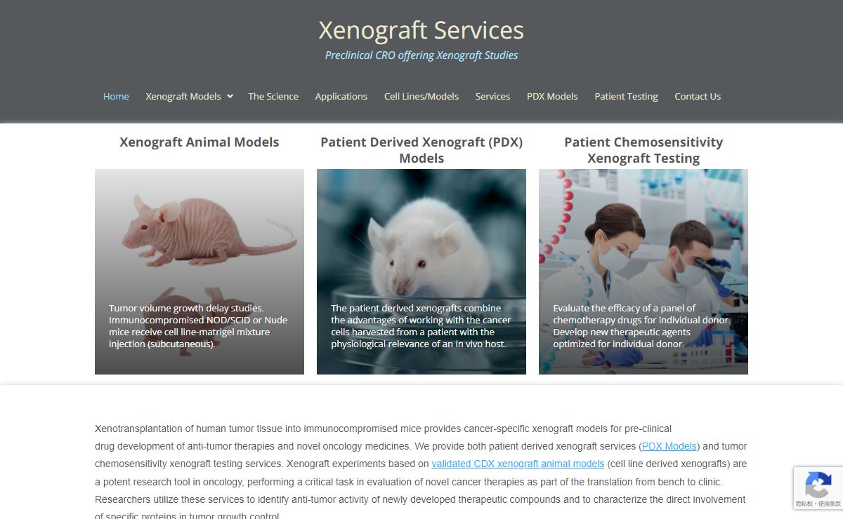 Preclinical CRO offering Xenograft Studies | Xenograft Services