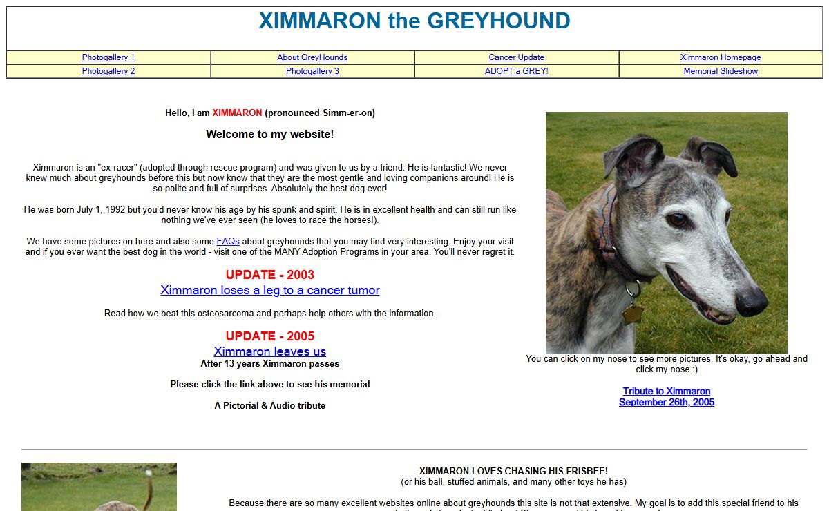 Ximmaron the Greyhound