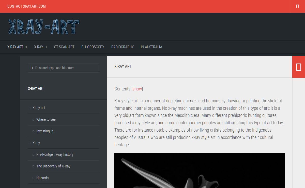 X-ray art Learn everything about X-ray art