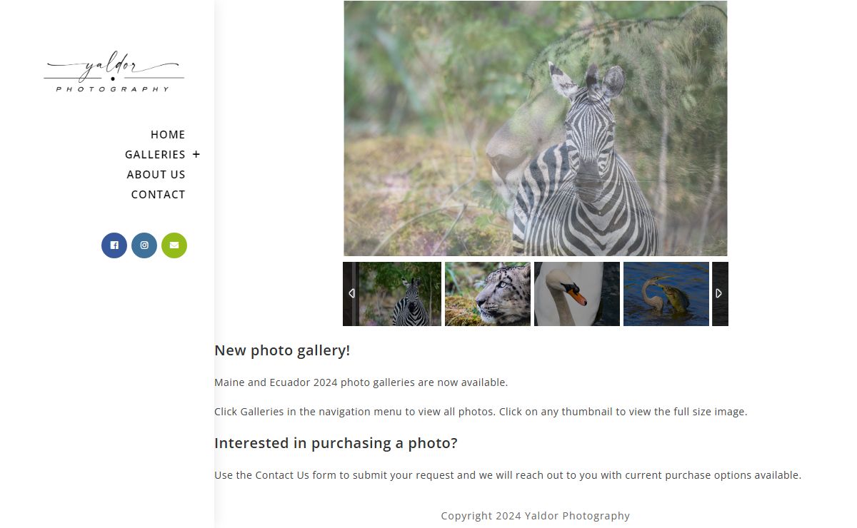 Yaldor Photography – Photography