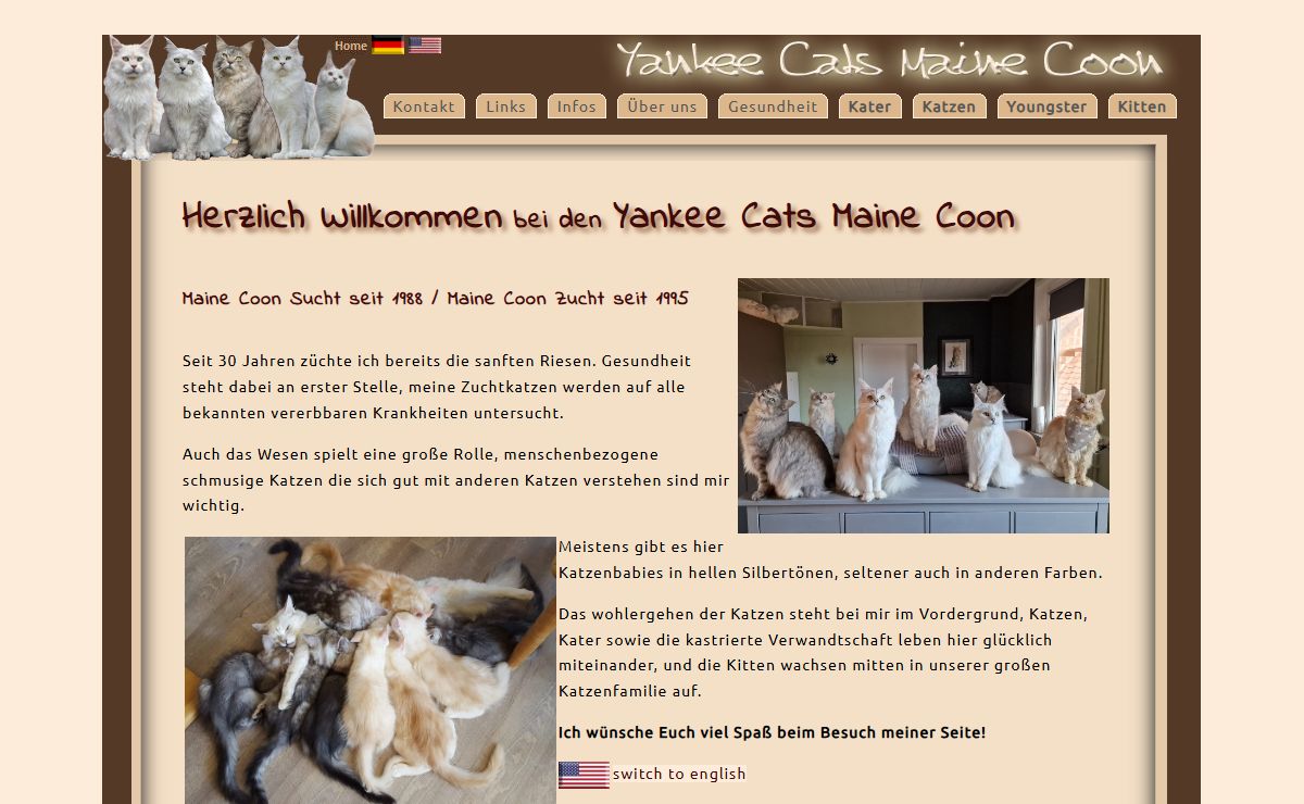 Yankee Cats Maine Coon