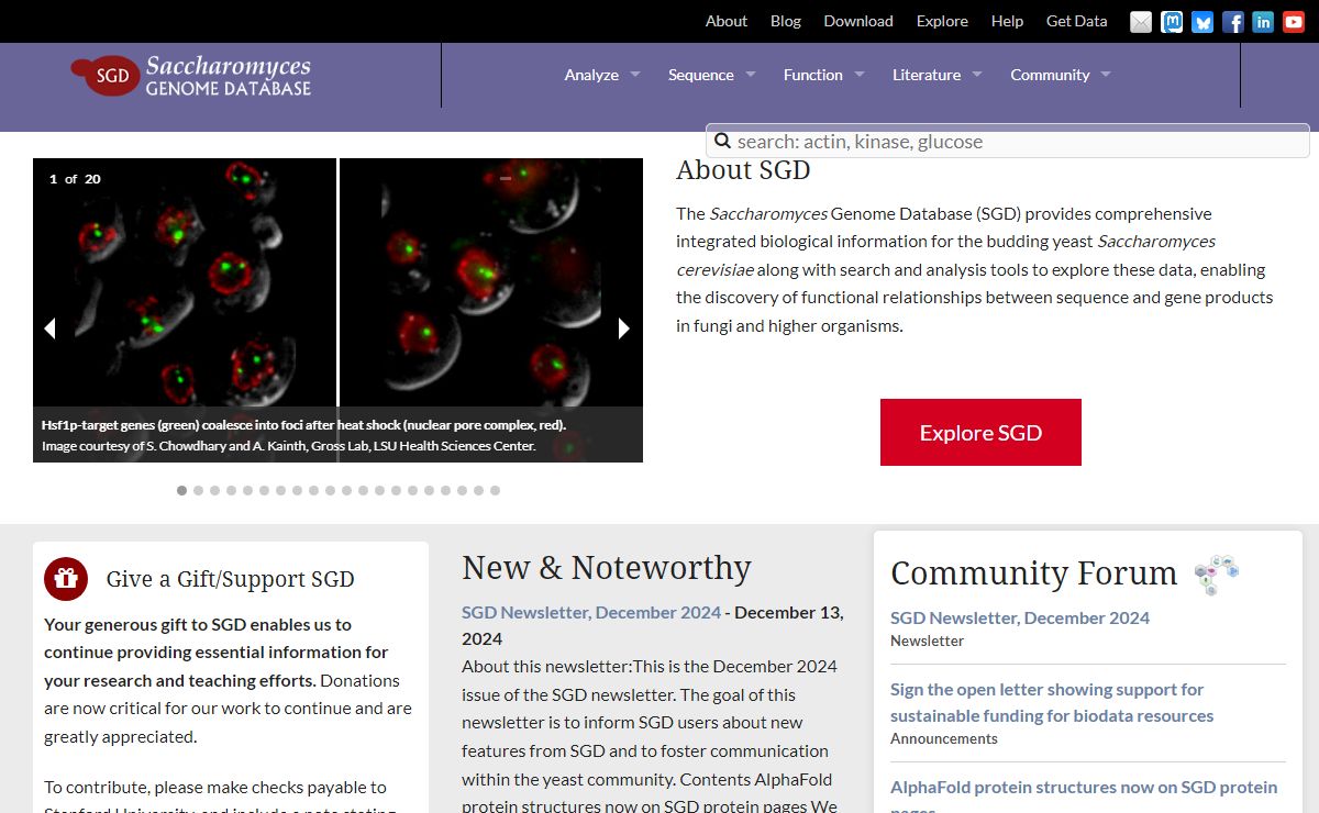 Saccharomyces Genome Database | SGD