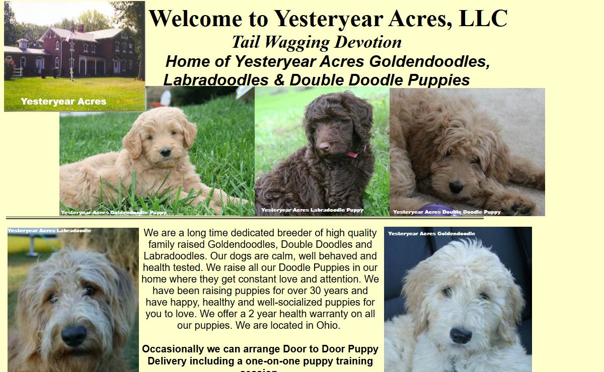 Goldendoodle, Labradoodle & Double Doodle Puppies from Yesteryear Acres Goldendoodles and Labradoodles of Ohio: Red Labradoodles,Chocolate Labradoodles and Apricot Labradoodles and Goldendoodles- Raised in our home, well socialized