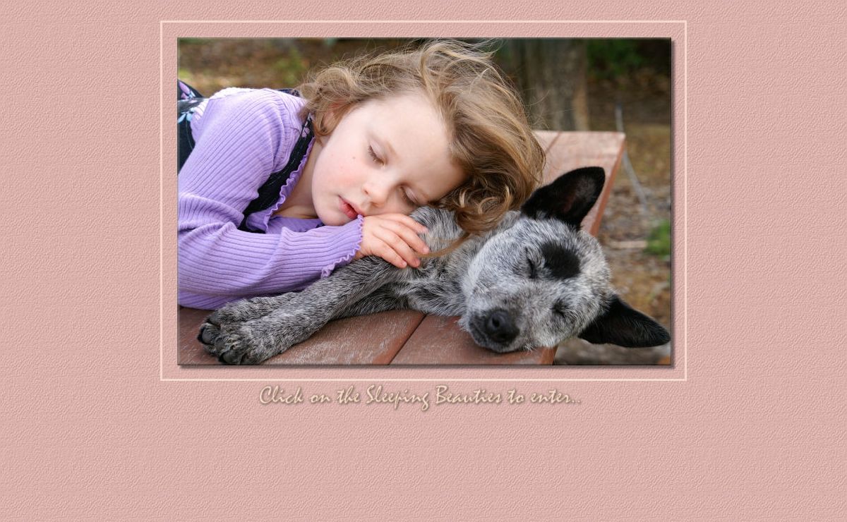 :: YONDALE KENNELS ~ Real Dogs for Real People ::