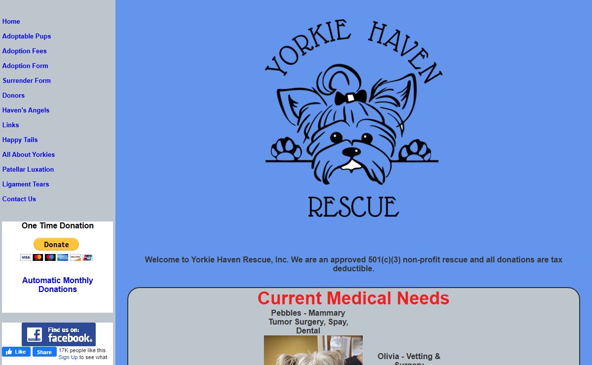Yorkie Haven Rescue