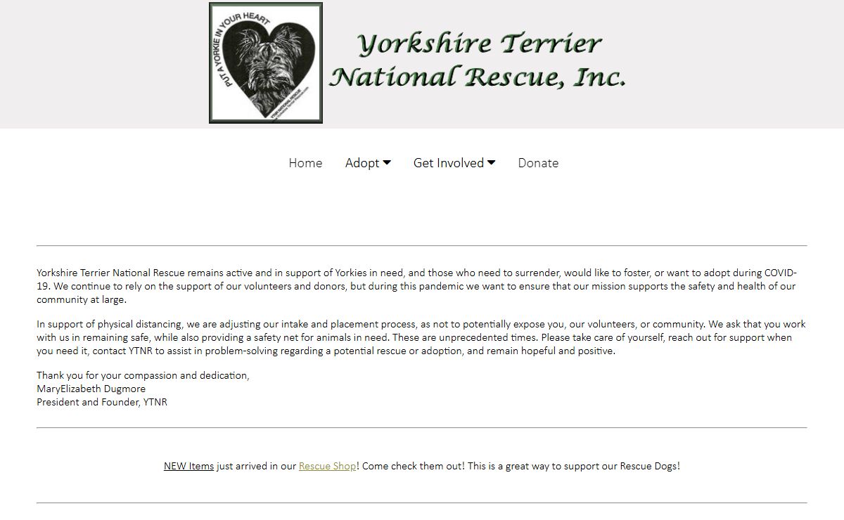Yorkshire Terrier National Rescue