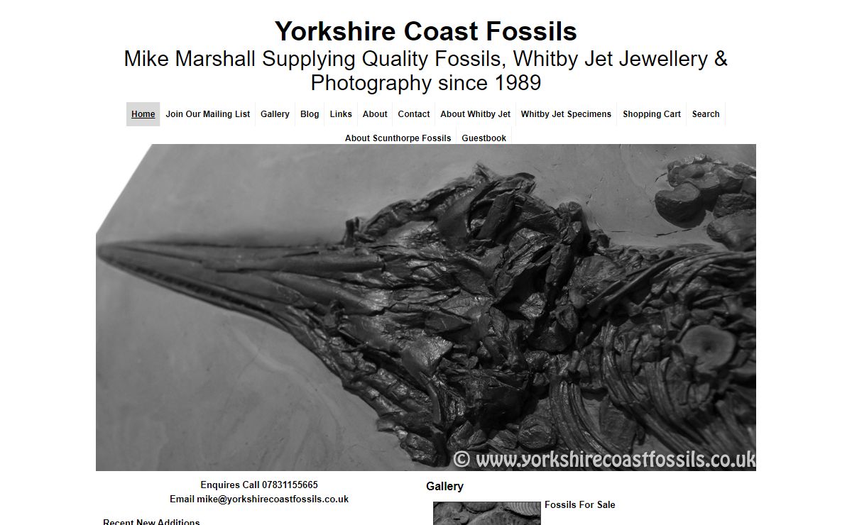 Yorkshire Coast Fossils supplier of quality fossils Whitby Jet Jewellery & Photography by Mike Marshall