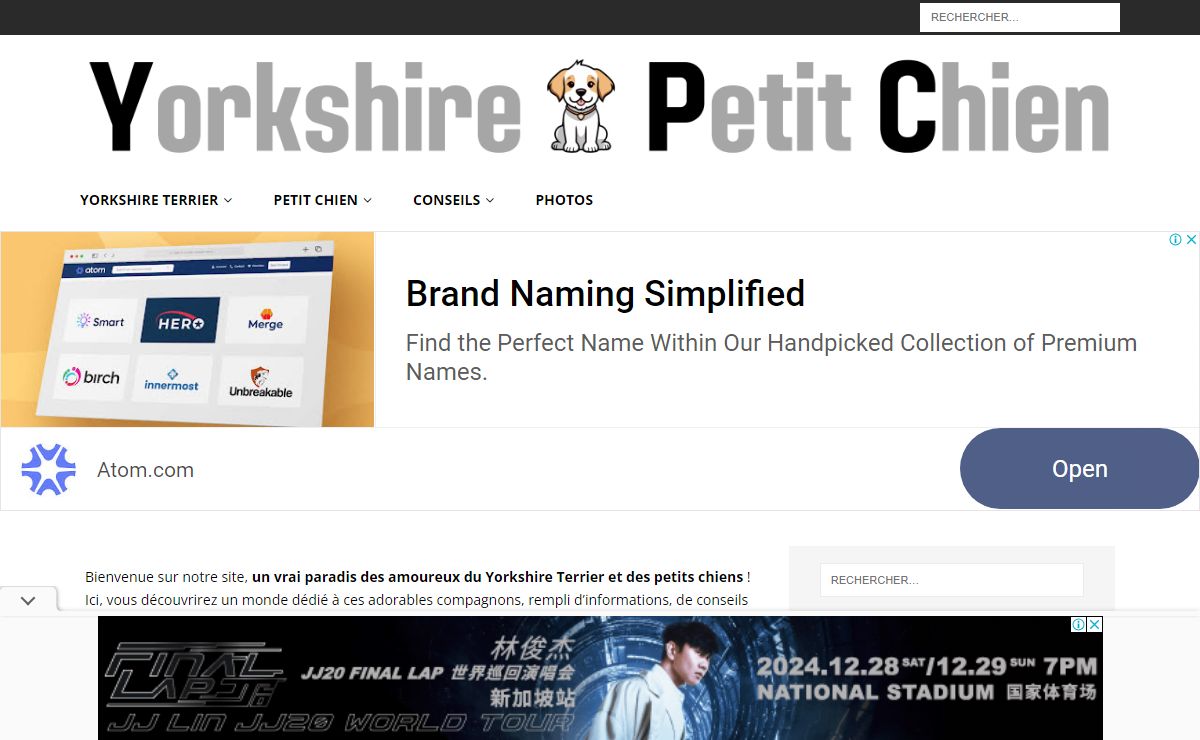 Tout Savoir sur les Yorkshires | Terrier Toy Biewer Nain Petit Chien