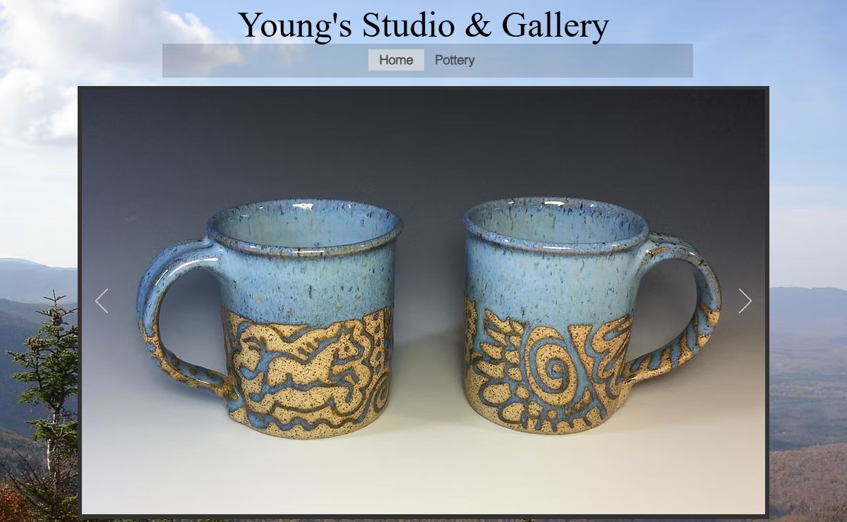 Adirondack Art Gallery Young's Studio & Gallery