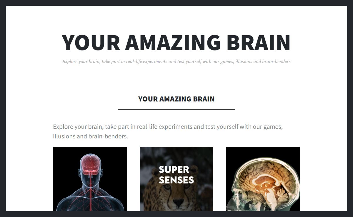 Your Amazing Brain - Your Amazing Brain