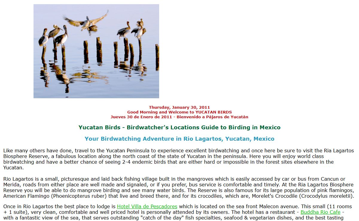 to Yucatan Birds - Birdwatching Locations - Maya World Studies Center - Mexico - Bienvenido a Pajaros de Yucatan - Centro de Estudios del Mundo Maya - Mérida, Yucatán, México - Welcome