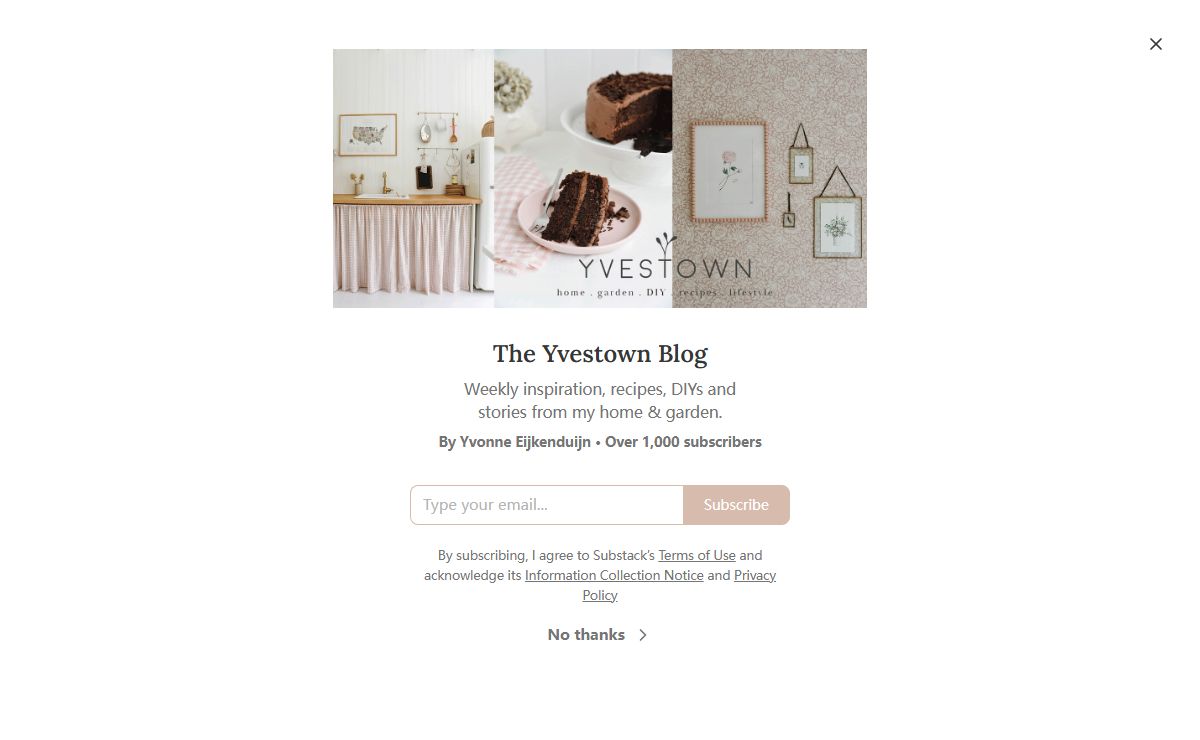 The Yvestown Blog | Yvonne Eijkenduijn | Substack