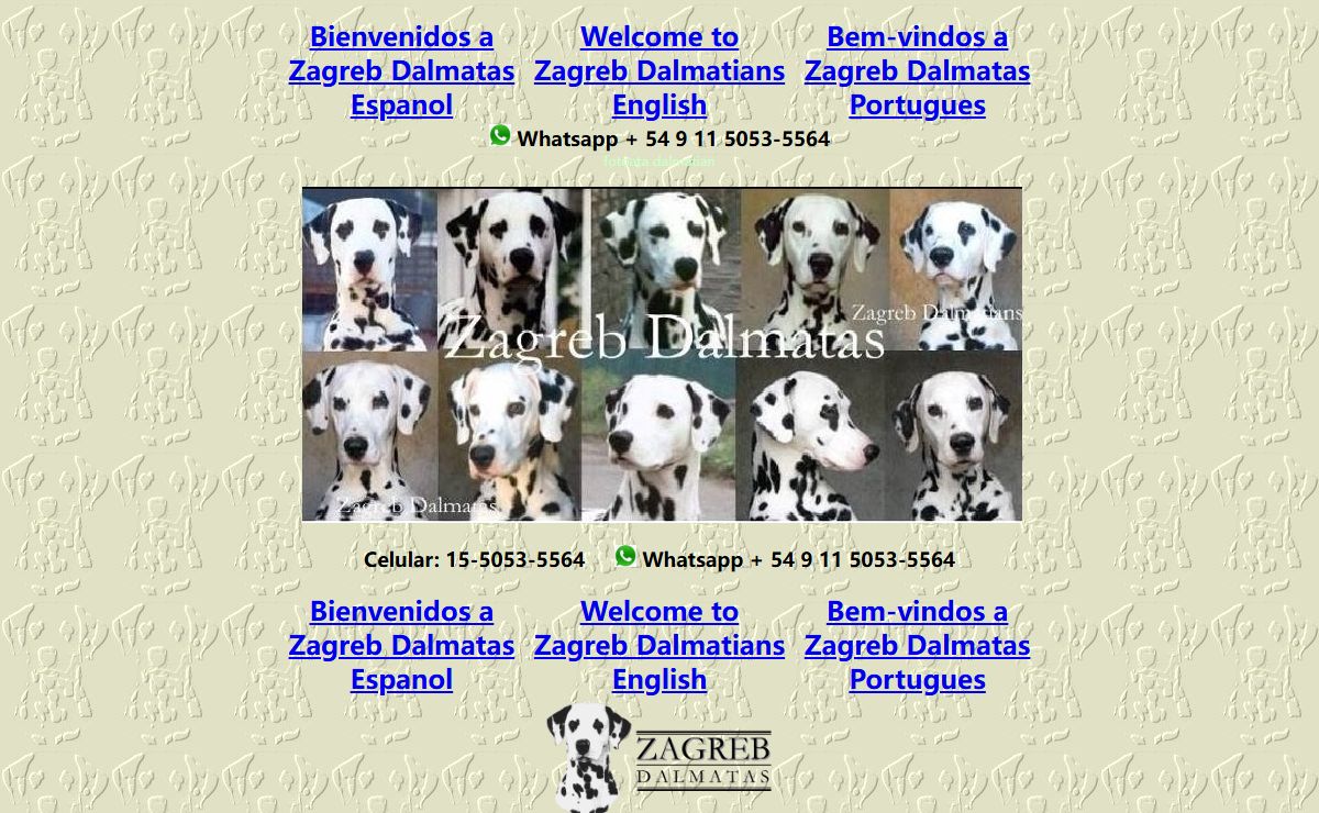 Dalmata Dalmatas dalmatians Zagreb Dalmatians