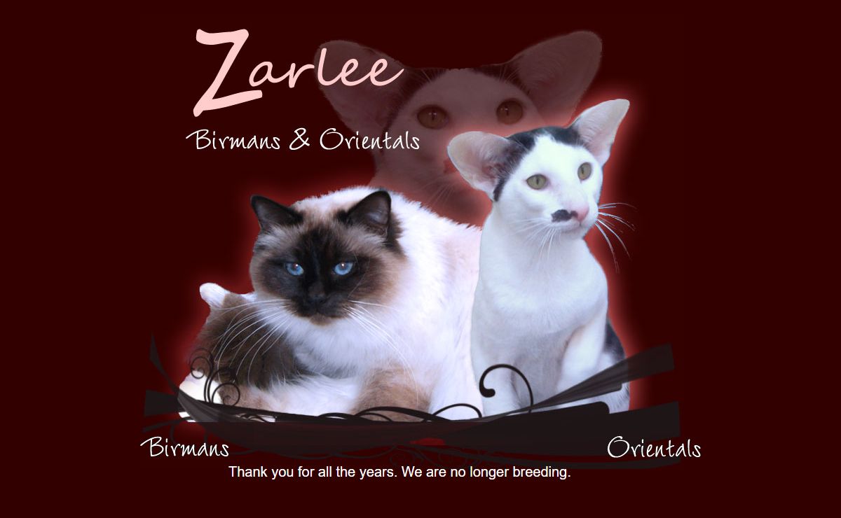 Birman Cats of Zarlee | Birman cats and kittens