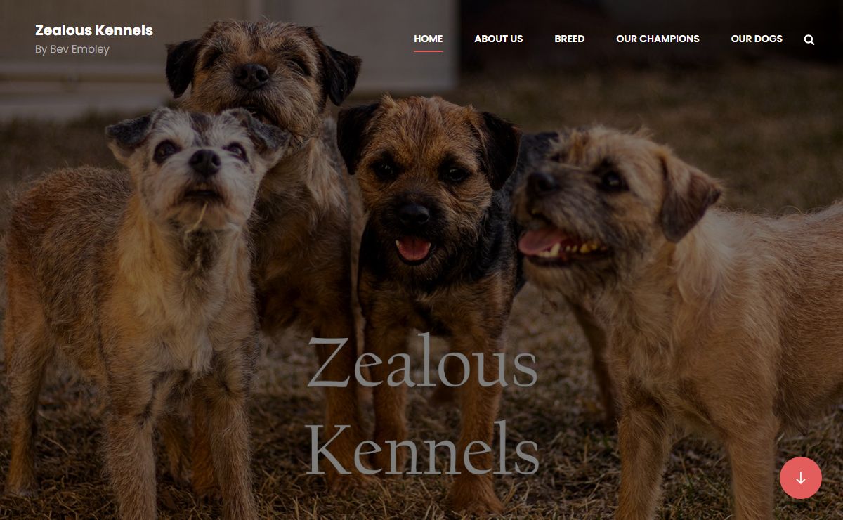 Zealous Kennels – By Bev Embley