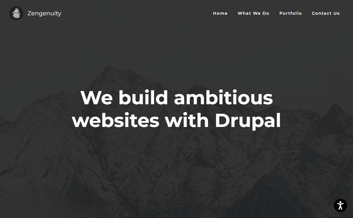 Drupal Development, Consulting, and Training | Zengenuity