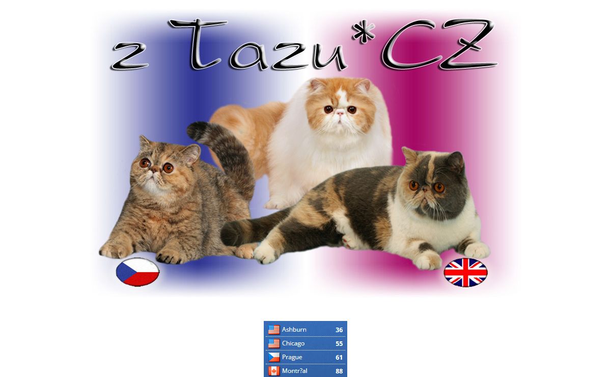 Persians and exotics z Tazu*CZ