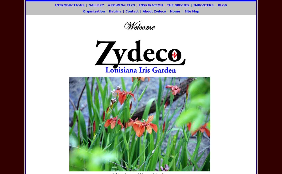 Zydeco Louisiana Iris Garden - New Orleans - Come On In.