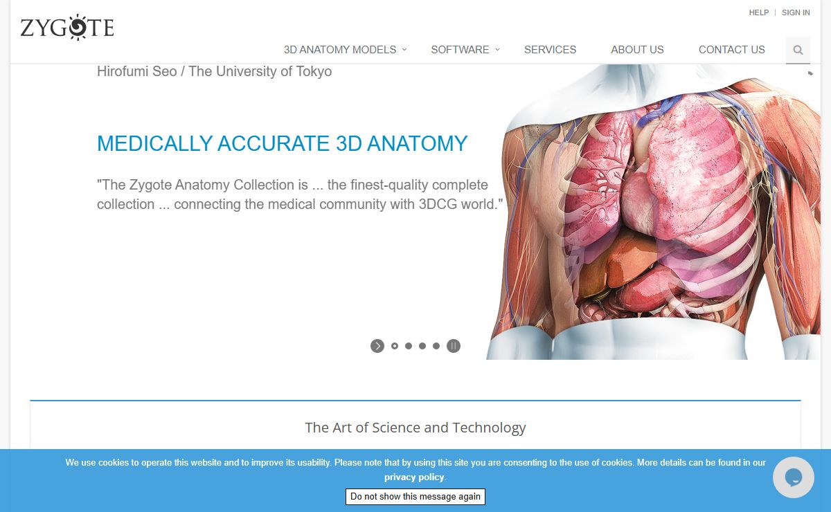 Zygote 3D Human Anatomy Models | Human Anatomy Models for Animation | VR | Mobile Applications