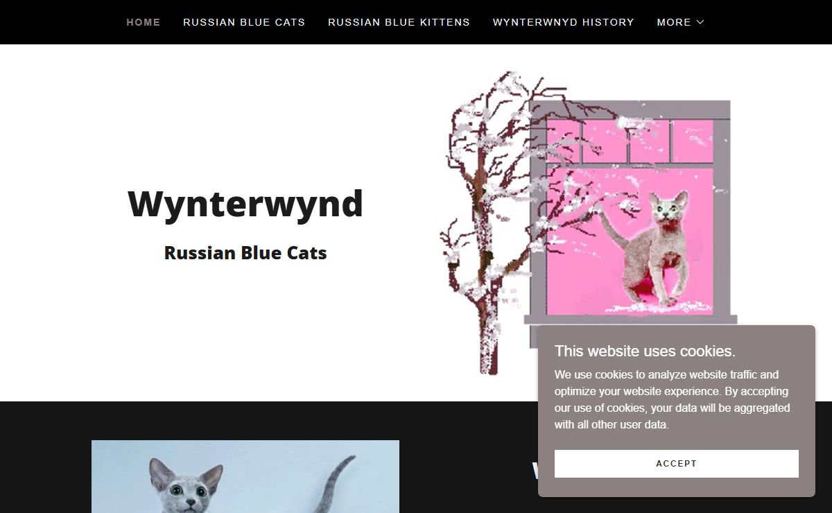 Wynterwynd