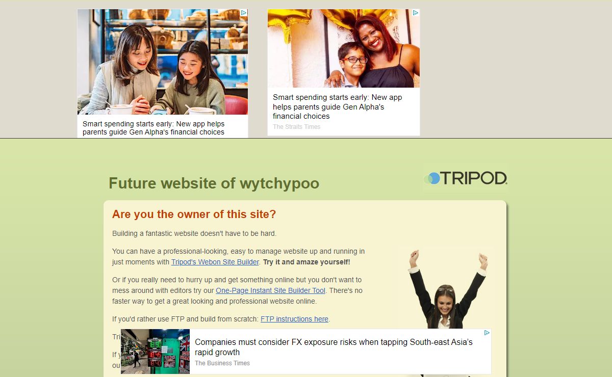 Future Website of wytchypoo