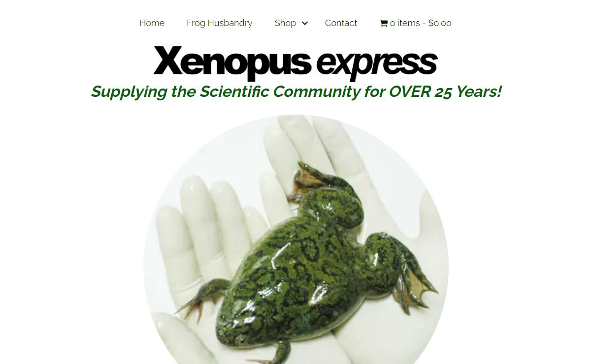 Xenopus Express - Supplying the Scientific Community for OVER 25 Years!
