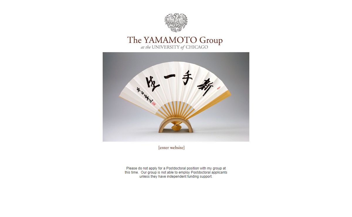 The Yamamoto Group - The University of Chicago