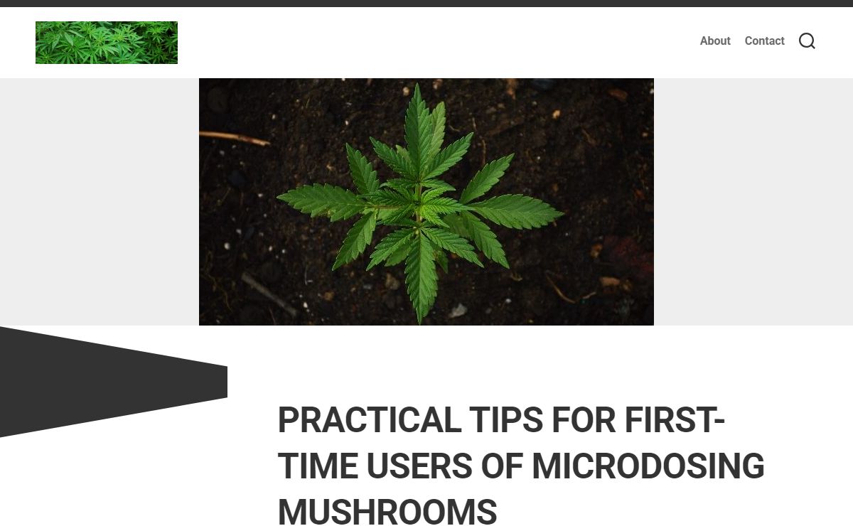Weed Delivery Vancouver | Buy Weed & Psilocybin Online - Yellowstone Cannabis Directory