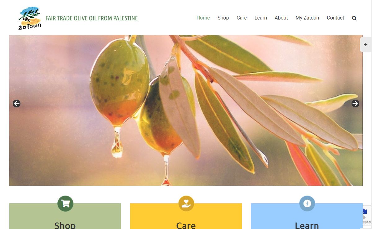 Zatoun Olive Oil from Palestine