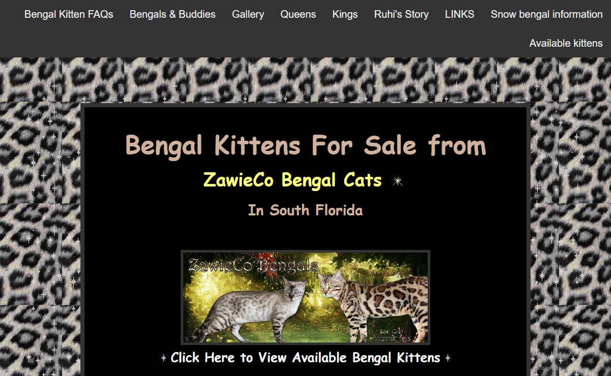 Bengal kittens for sale in Florida at Zawieco Bengals