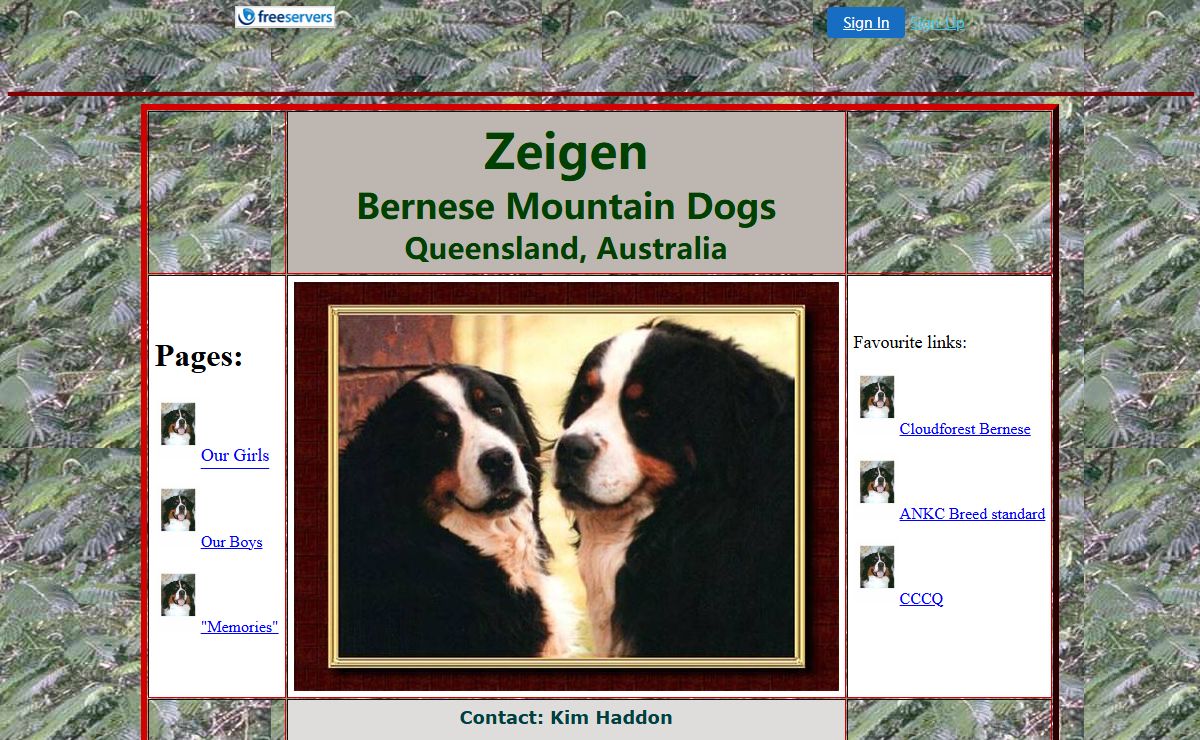 Zeigen Bernese Mountain Dogs