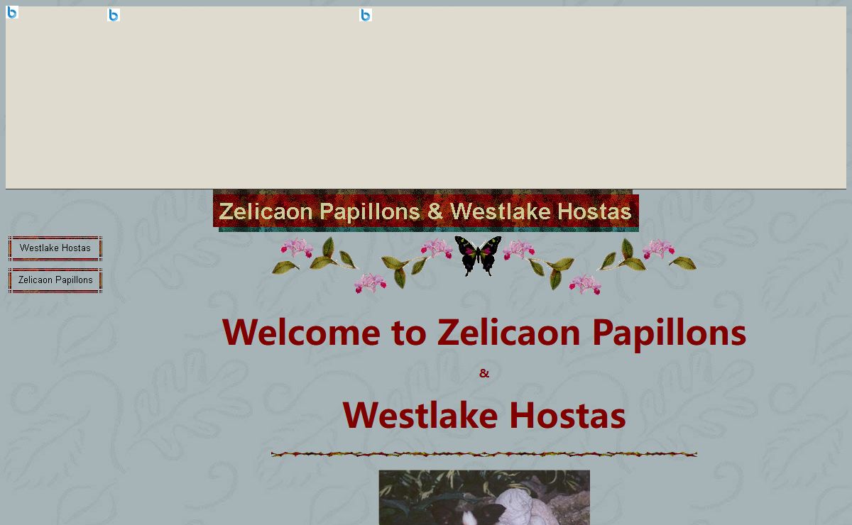 Zelicaon Papillons & Westlake Hostas