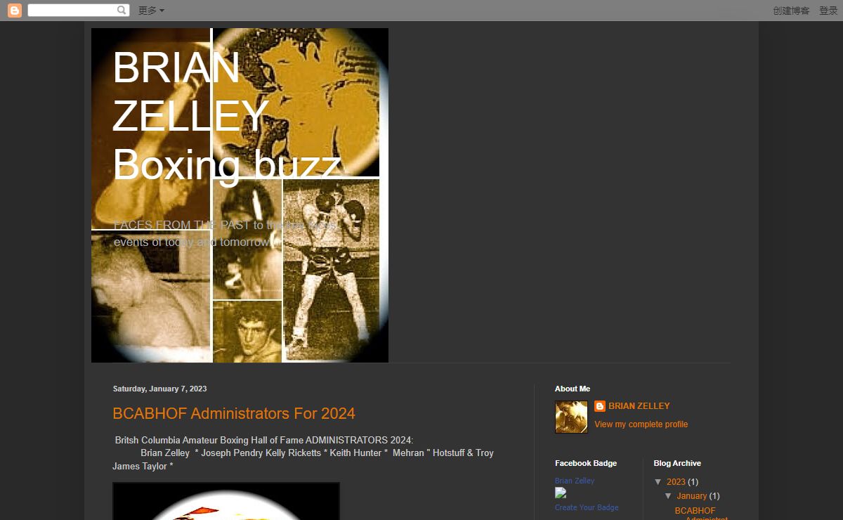 BRIAN ZELLEY Boxing buzz