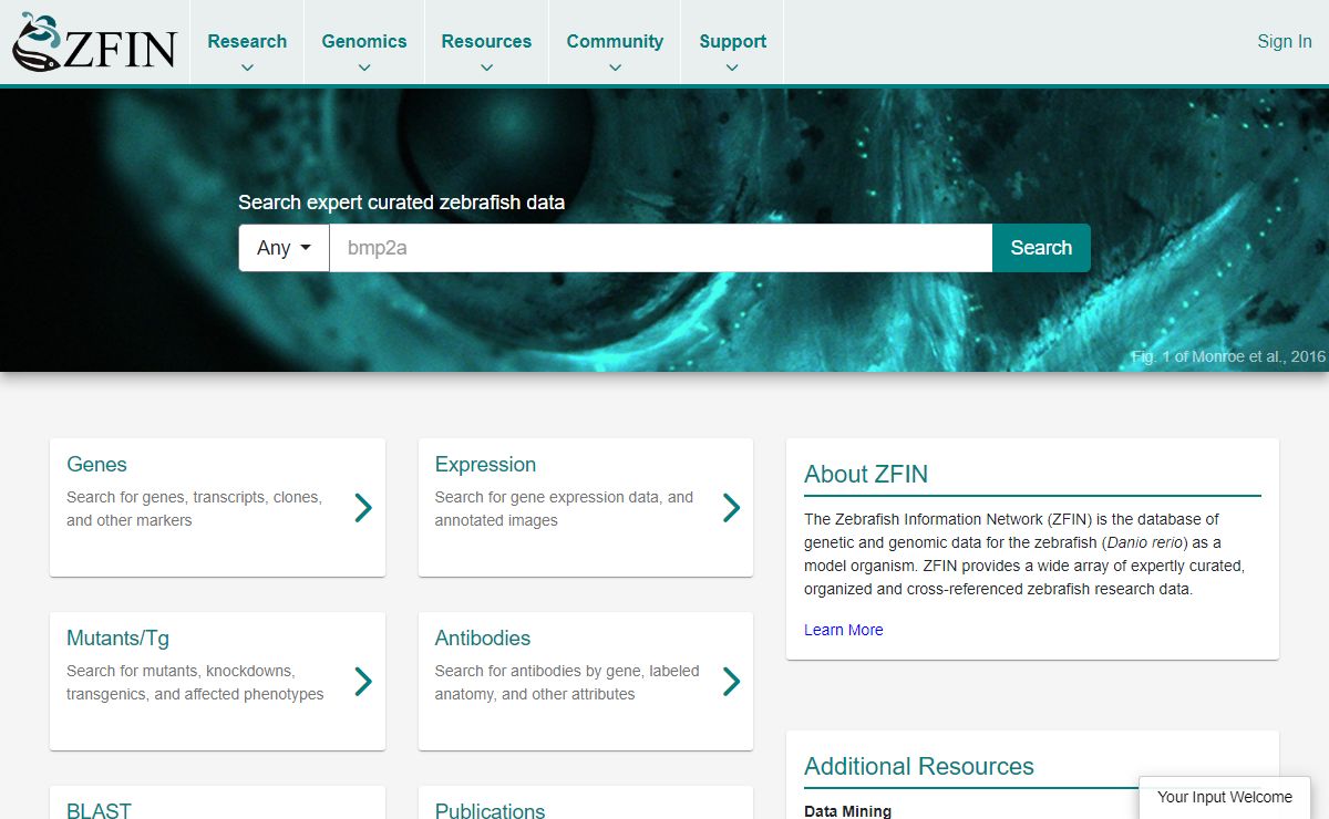 ZFIN The Zebrafish Information Network
