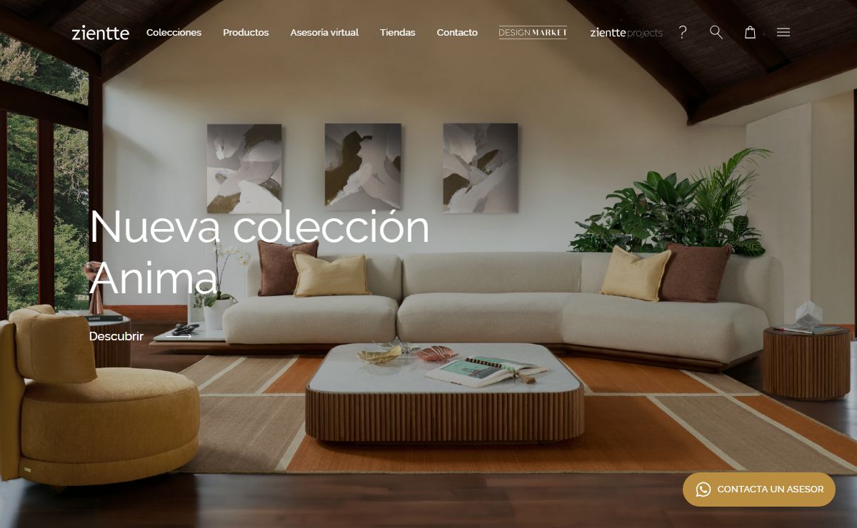 Productos que crean hogares | Zientte