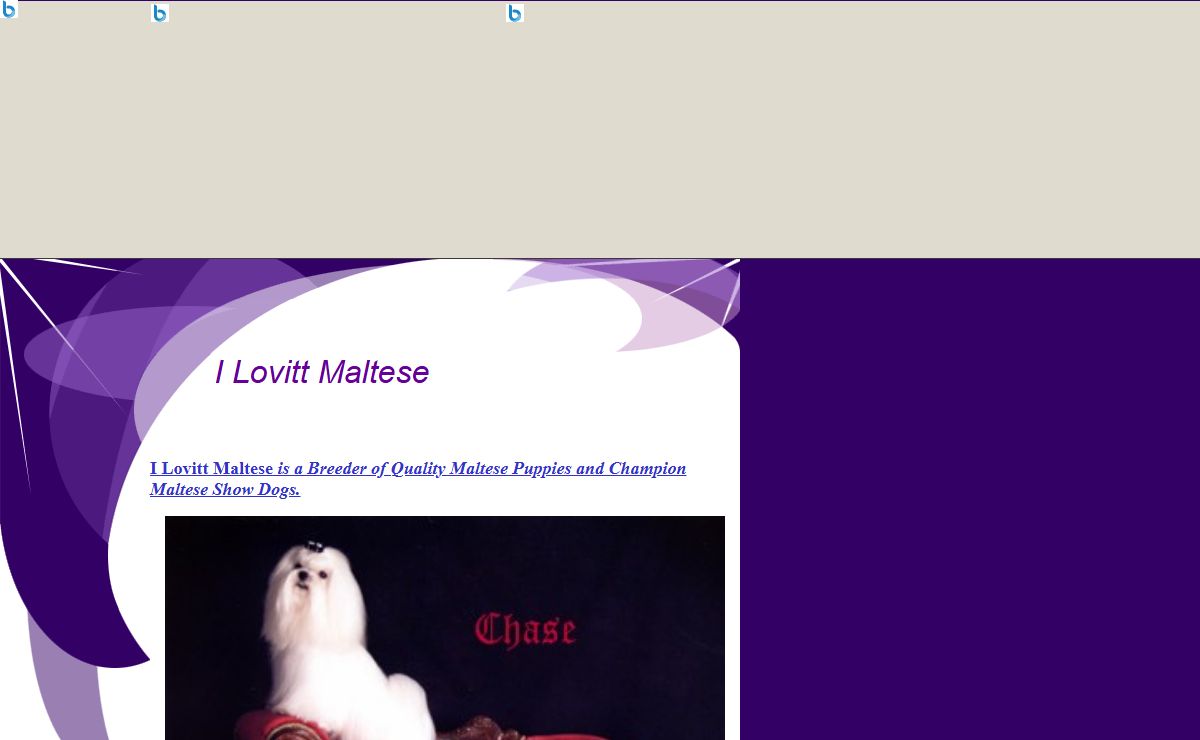 I Lovitt Maltese